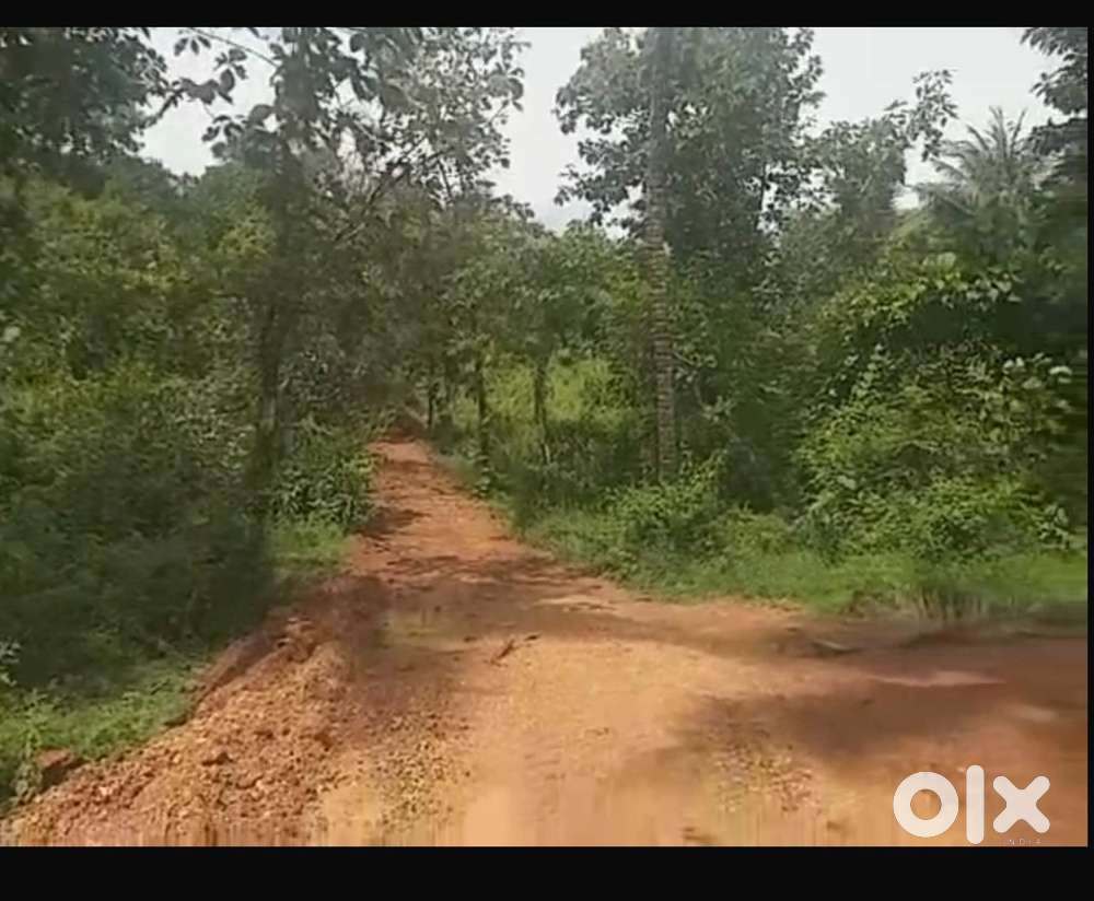 Plot sale in kannur mayyil