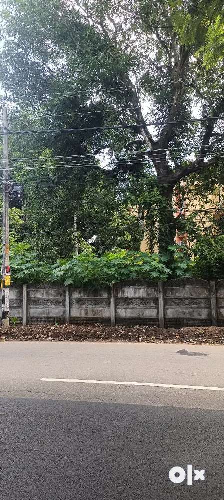 52 Cents Road Side Plot for Sale Anchery chira Kuttanellur Road Side