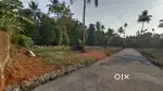 5,7,8, 10 CENT PLOT ANGAMALY PULIYANAM JUNCTION NEAR BY
