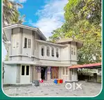 New World Ladies Hostel Bunker & Single cot Bed near edappally