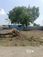 PREMIUM OPEN PLOT FOR SALE IN SAI PARK, WARDHA