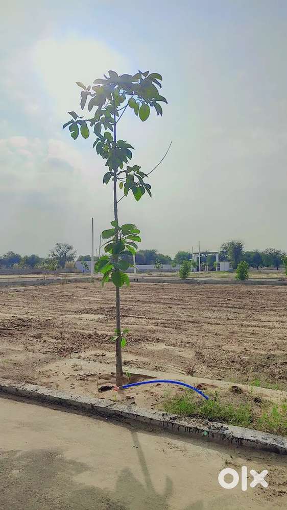 Premium plot , with all Society Amenities