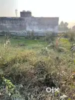 Rajiv Gandhi