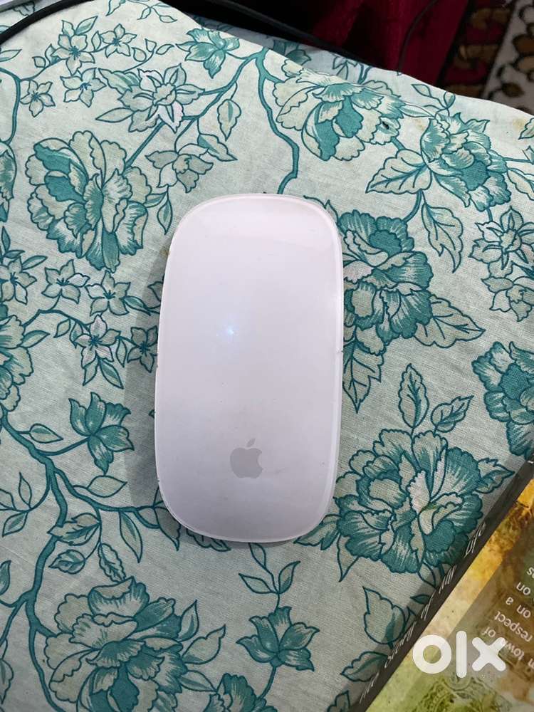 Apples Magic Mouse