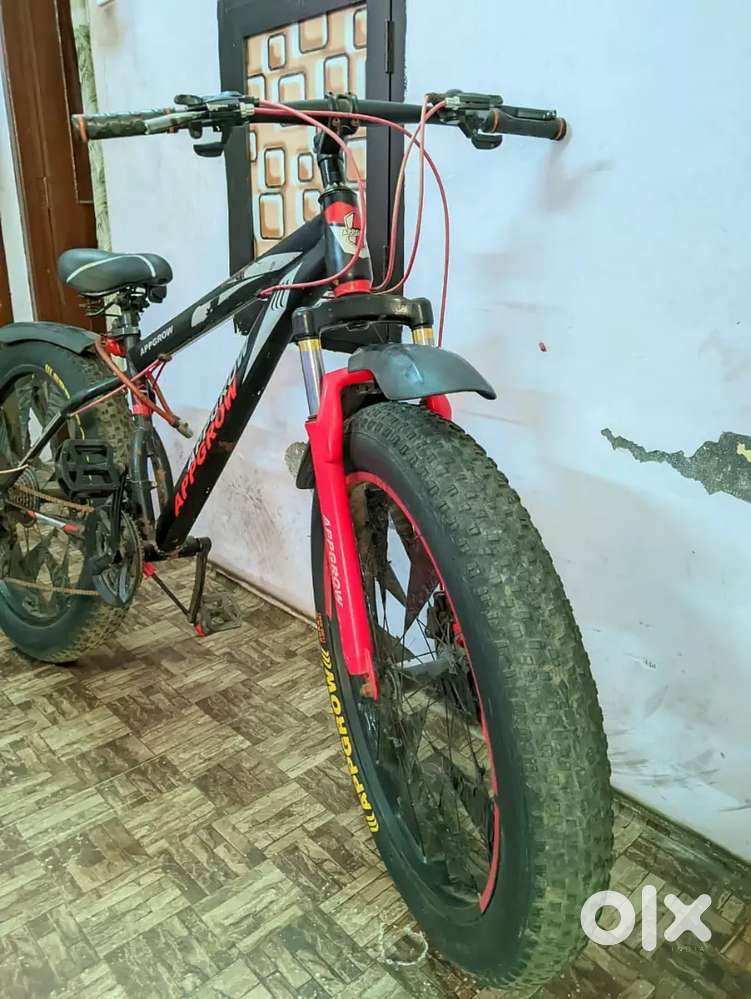 Fatt tyre gair cycle and disk brake