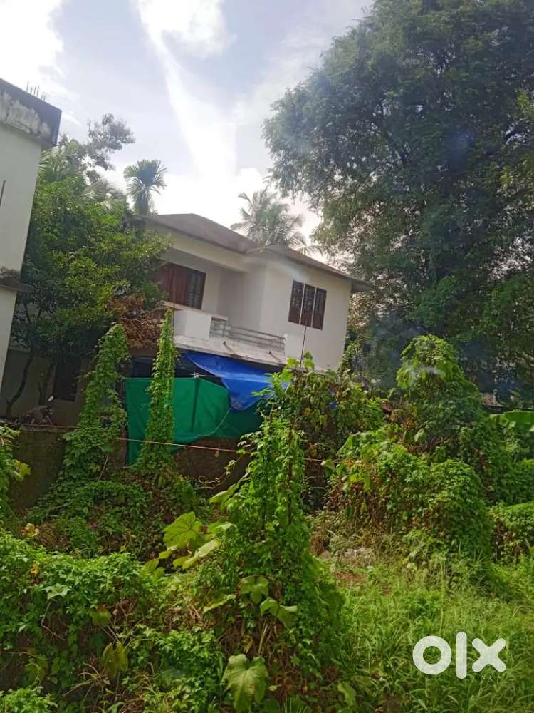 Parambil bazar parambil kadavu 3 BHK house for lease