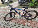 Attivo cycle