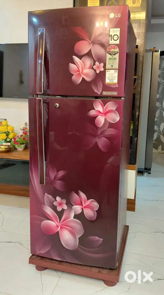 LG Double Door Refrigerator
