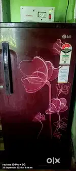 LG Fridge, 185 ltr capacity, 4 star rating.