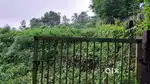 1.17acre KORATTY 9km. ADICHILY .Bus stop 500mtr