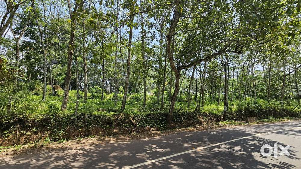 25cents of rectangular plot for sale(price negotiable)