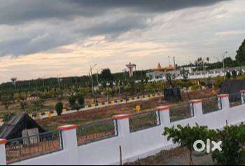 Immediate registration plots - BIAAPA approved