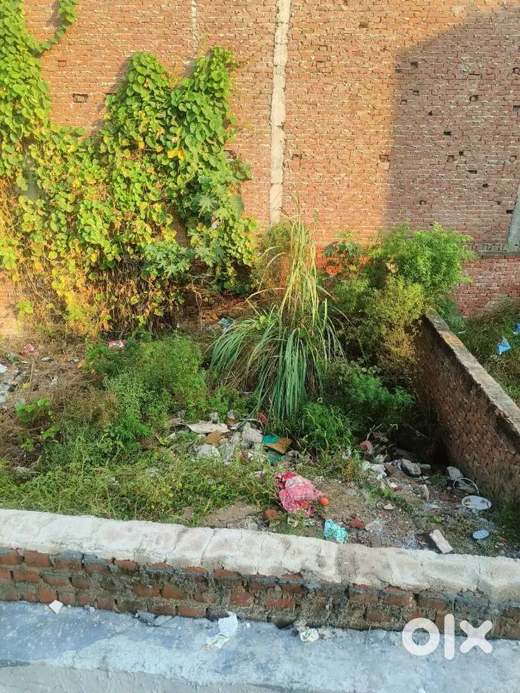 50 Sqyd Plot for sale in Milan garden Mandoli