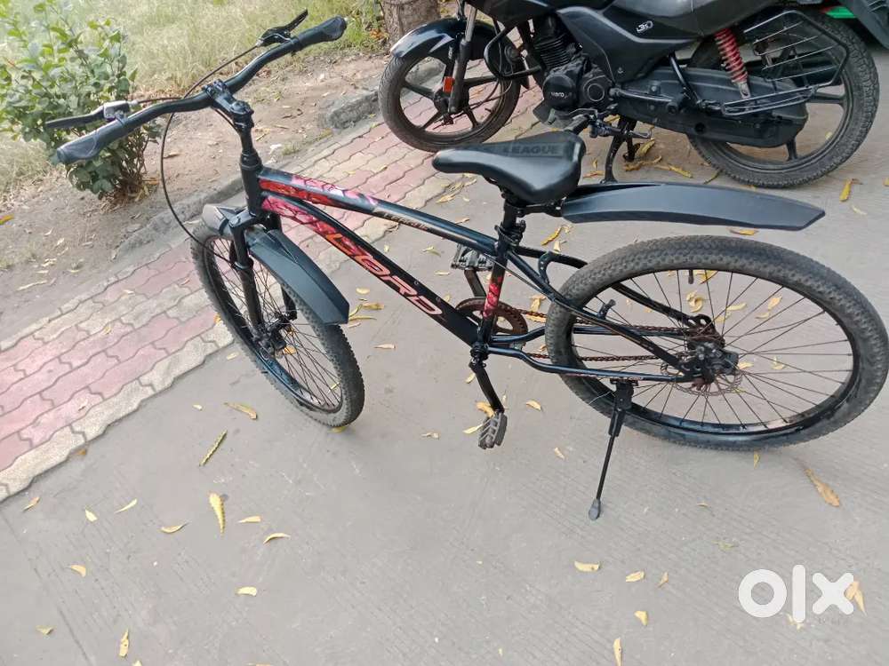 New Shining Cycle