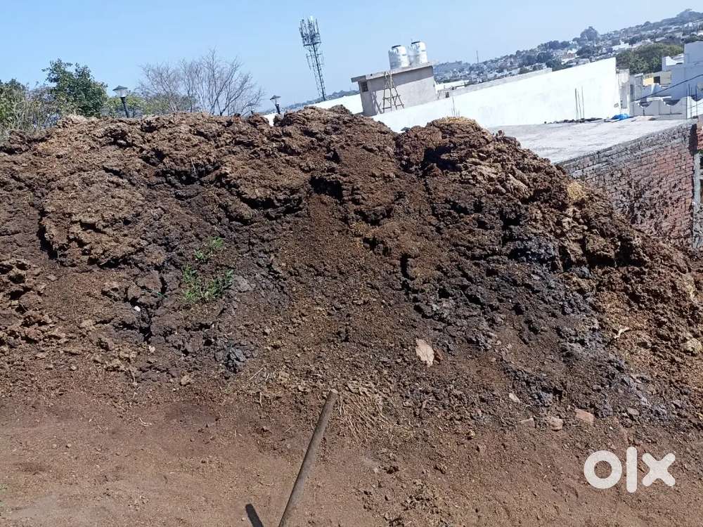गोबर खाद 500 Rs  ट्रॉली