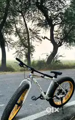 Marlin Fat Bike - Rock Rider