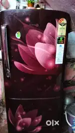 Single door Feidge