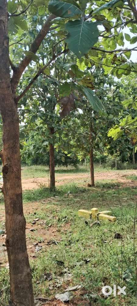 Tamilnadu Knowledge park near