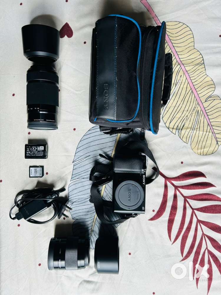 Sony Alpha 6100 with 55-210 mm and 50 mm lens