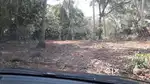 Land/Lease /Rent  Near Ferock kottakadave Road  side