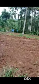 Premium residential plot 190000 per cent total 25 cent