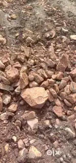 Ten acre land