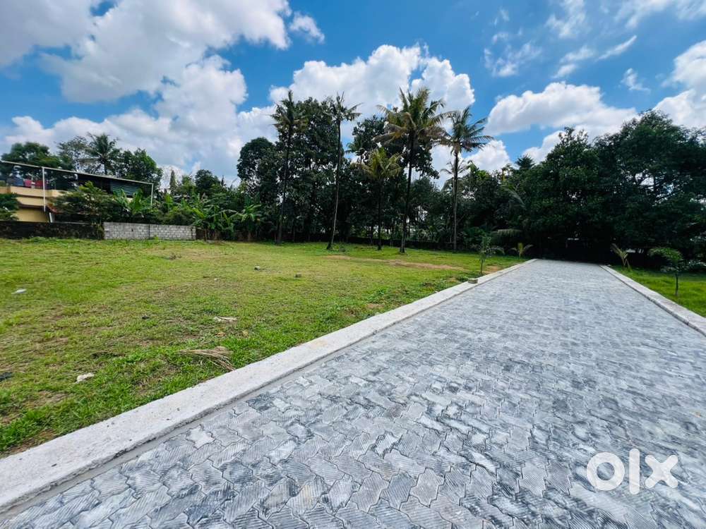 Aluva Uc College 10,19cent house plot cent 7.50lakh 4.5metr road