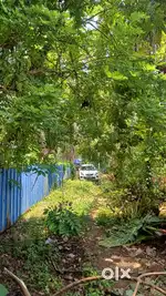 38 CENTS DRY LAND FOR SALE IN EAST KALLADA