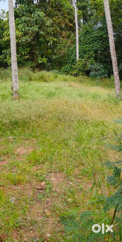 7cents land for sale in Trivandrum