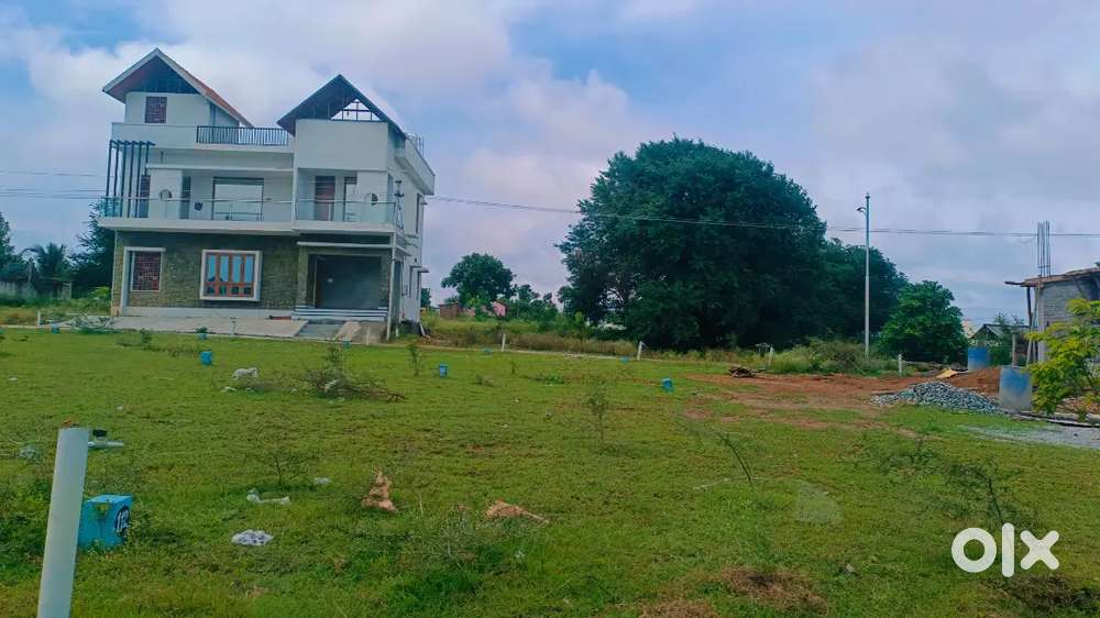 LOW BUDGET DTCP APPROVAL PLOT SALE