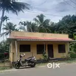 House for rent near Mallikassery