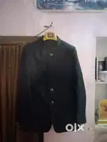 Jodhpuri coat paint