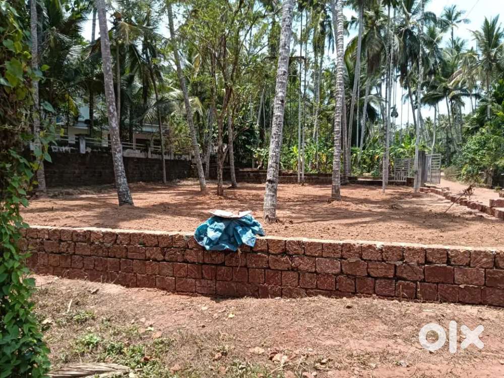 വീടിന് അനുയോജ്യമായ വാഹന സൗകര്യം ഉള്ള 9 സെൻറ് സ്ഥലം വിൽപ്പനക്ക്