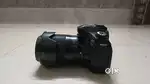 cannon camera d 80