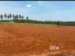 1 acer agriculture land sale / agricultural land sale