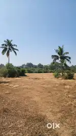 Agriculture land in chendia, karwar