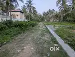 5 cents land for sale in Thuvarankadu to boothapandi main road