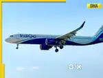 Urgent hiring for airport jobs fresher candidate nearest airport