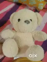 Teddy bear