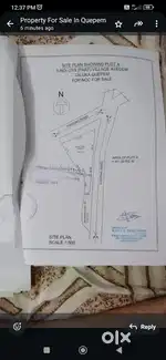 Orchid Plot for urgent sale in avedem quepem