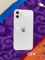 New 12 brand