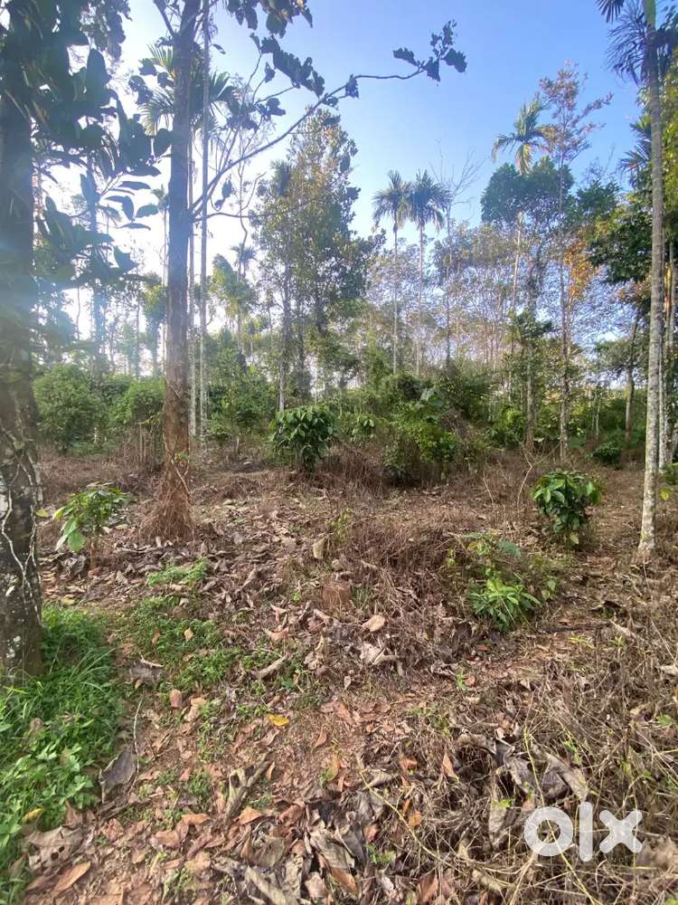 Perfect for housing, farming and other purposes