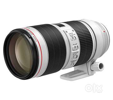 Canon 5D Mark IV + 70-200mm f2.8 USM + 50mm 1.8