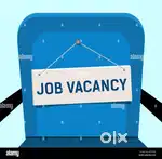 NO EXPERIENCE REQUIRED