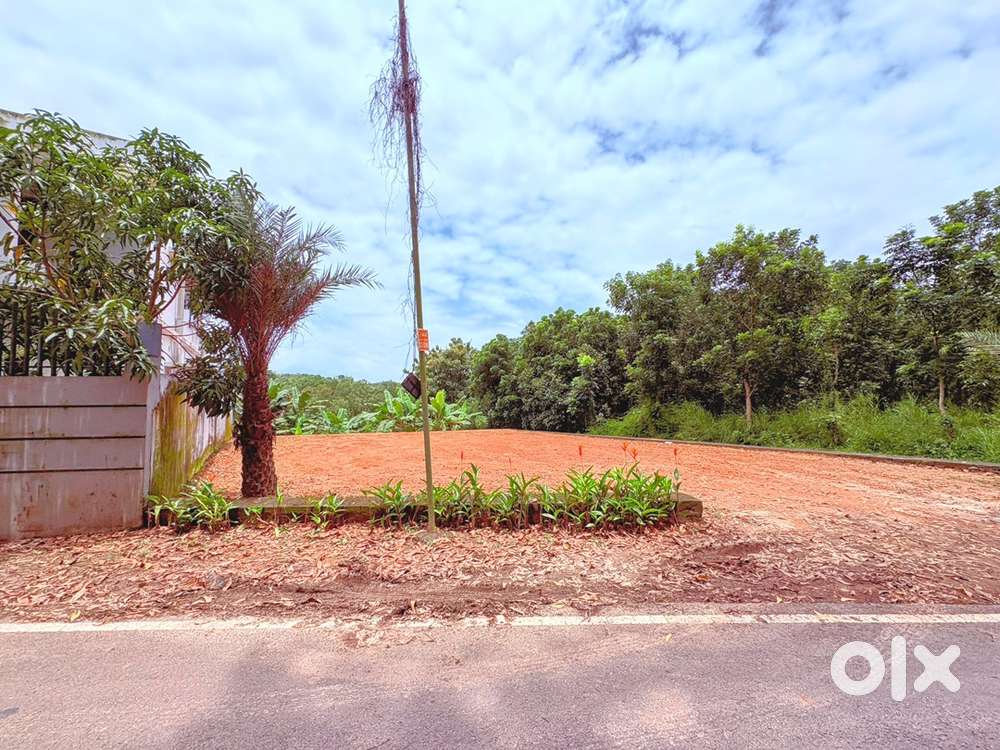 8.5 cent Kakkanad near edachira