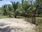 Farm land with guest house for sale - 5.98 acre