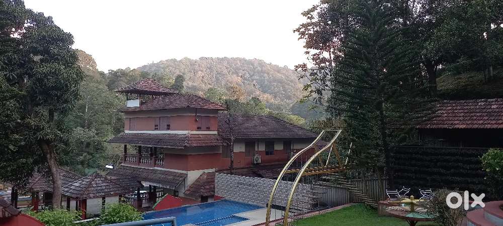 Waiter/Waitress Jobs