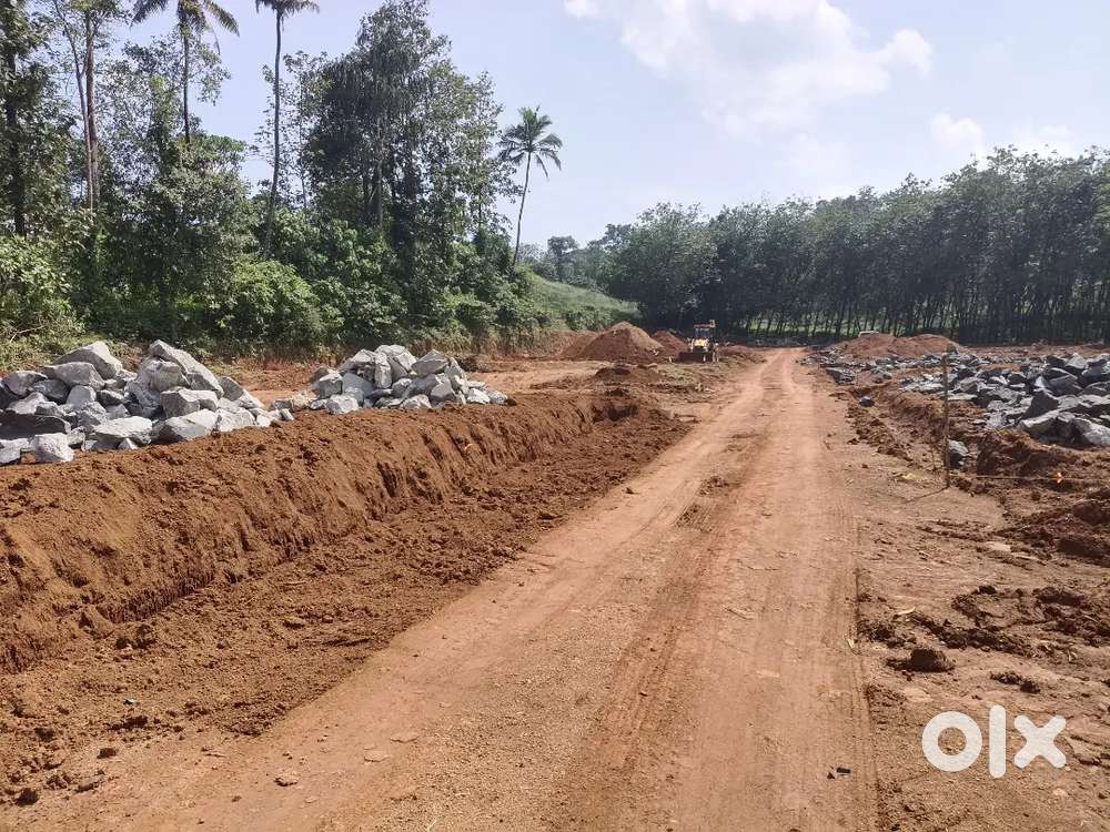 Mekkadampu 1km frm NH 6,7,8 cent houseplots open well water