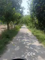Best locations agriculture zameen