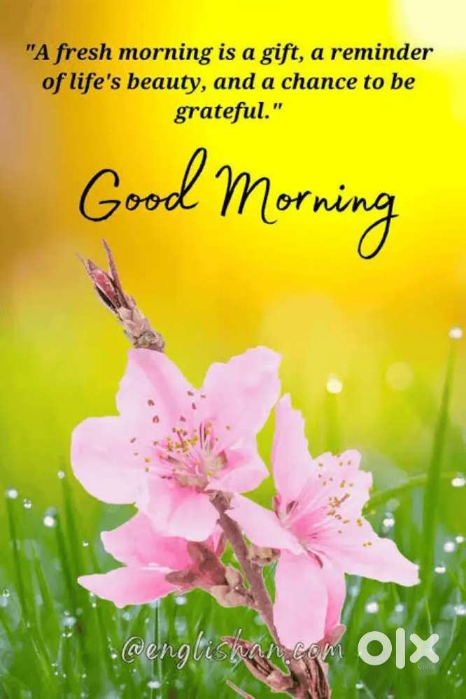 1 mins distance from Tikiya para Eidah maidan (metiabruz) garden reach